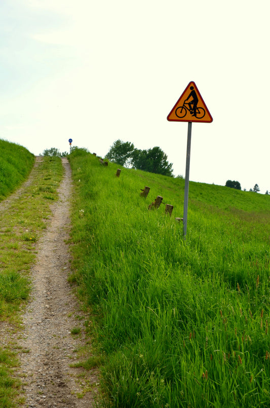 Best bike paths Los Angeles cycling